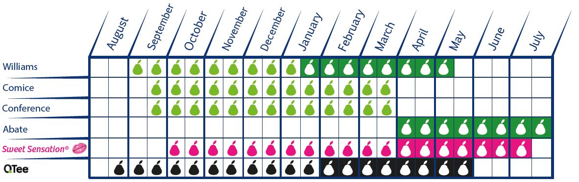 calendrier poires