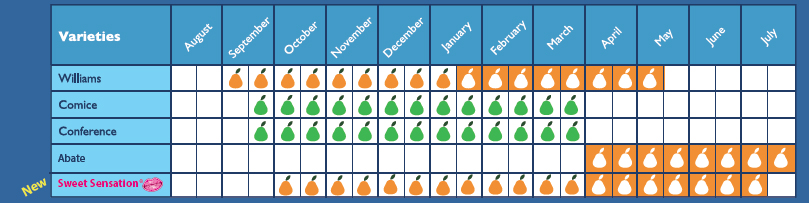 calendrier-poire