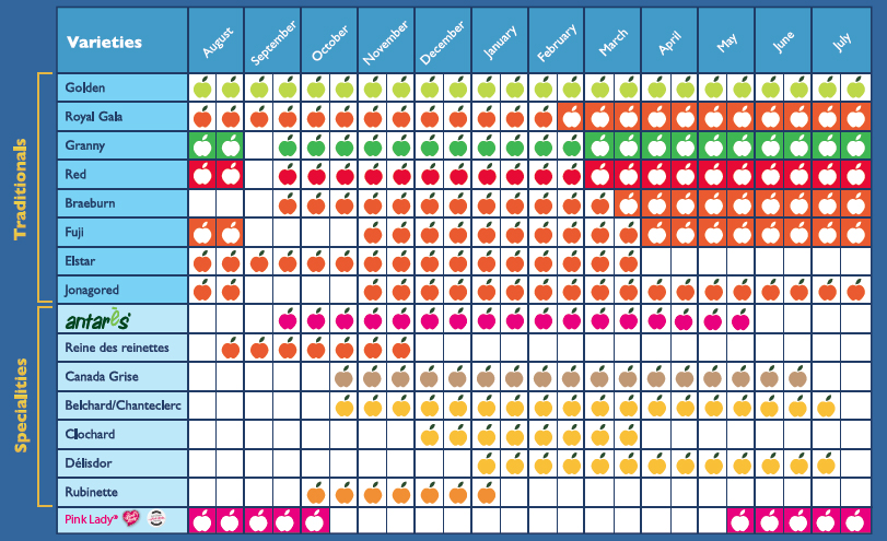 calendrier-pomme