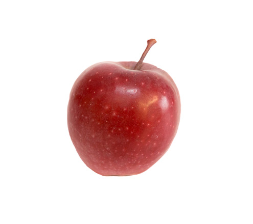 red bis